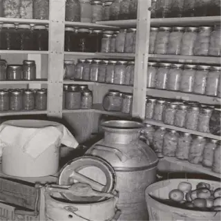 a black and white photo of a root cellar with jars of preserves and bushels of apples