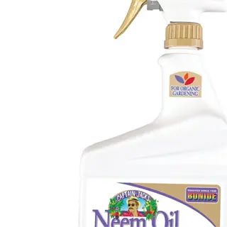 a bottle of neem oil spray labeled as a 3-in-1 insecticide, fungicide, and miticide for organic gardening