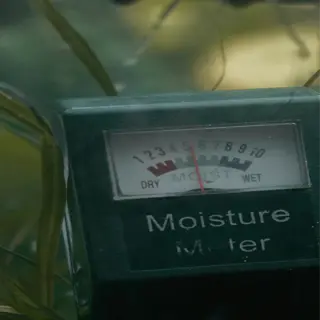 a close-up of a soil moisture meter in a garden, showing moisture levels