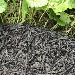 a close-up of dark, shredded heavy-duty mulch on the ground with green plants