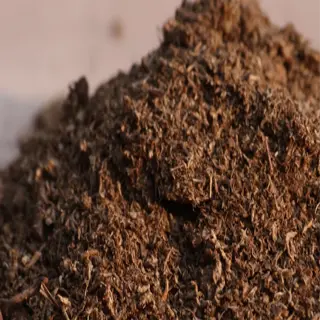 a close-up view of dark brown, fibrous peat moss