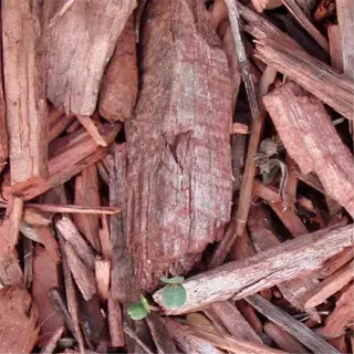 a close-up view of organic mulch made from reddish-brown wood chips with small green sprouts emerging
