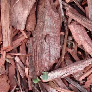 a close-up view of organic mulch, showing wood chips in various shades of brown with tiny green plants emerging