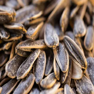a close-up view of sunflower seeds, commonly used for cooking, roasting, or planting