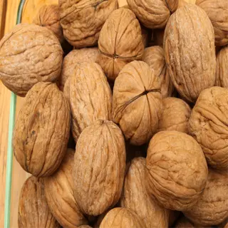 a collection of carpathian walnuts in a glass bowl, showcasing their wrinkled brown shells