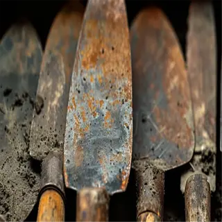 a collection of weathered garden trowels, including seedling trowels, laid out on soil