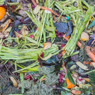 a compost pile with various organic materials, indicating compost integration process