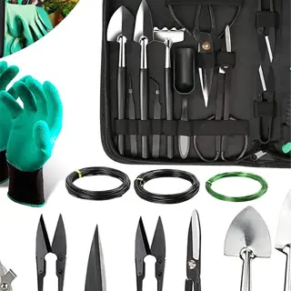 a comprehensive pruning kit with various gardening tools and accessories