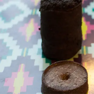 a cylindrical peat pot and a disc-shaped peat pellet on a patterned surface