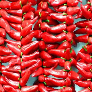a dense arrangement of red chili peppers