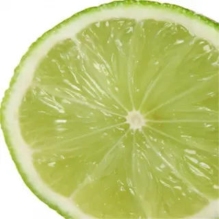 a freshly cut lime slice with juice dripping, vibrant green and citrusy