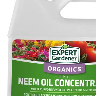 a gallon jug of expert gardener organics neem oil concentrate