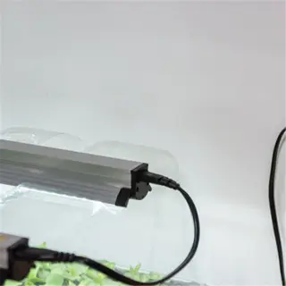 a grow light timer plugged into the wall, controlling a light fixture over seedlings