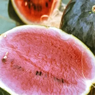 a halved crimson sweet watermelon with vibrant red flesh and a whole one beside it, showcasing its deep color and texture