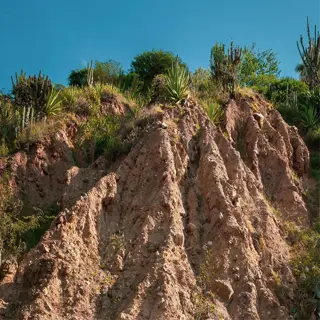 a hillside showing signs of severe soil erosion