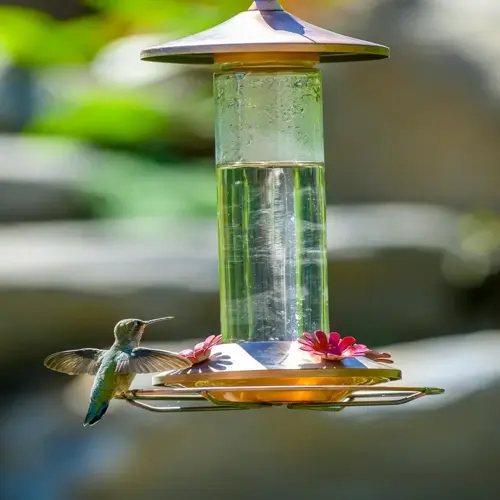 a hummingbird hovering near a nectar feeder with pink flowers in a sunlit garden
