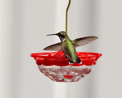a hummingbird with wings spread perched on a red window hummingbird feeder
