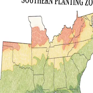 a map of southern planting zones, highlighting the regions suitable for southern growers (zones 8-10) with color-coded zones