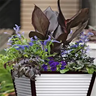 a metal self-watering container with a mix of colorful flowers and plants