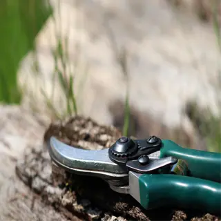 a pair of pruning shears with green handles resting on a wooden log