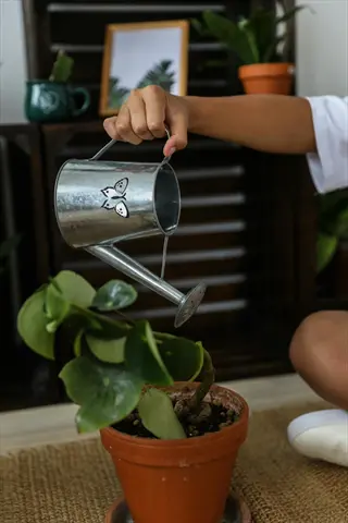 a person watering container plants with a metal watering can, featuring a butterfly design, in a cozy indoor gardening setting
