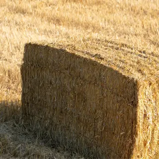 a rectangular straw bale sits in a field of dry, golden straw, casting a shadow in the sunlight