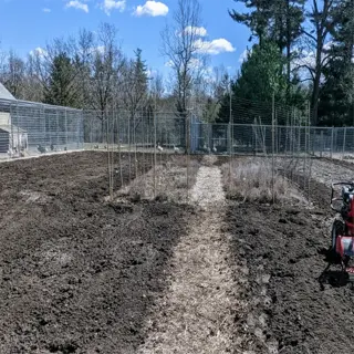 a rototiller in action, preparing the soil in a vegetable garden