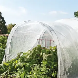 a row cover frame with a white fabric cover protecting plants in a garden
