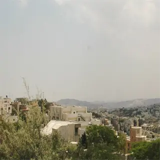 a scenic view of talpiot, with lush greenery and buildings in the foreground, and a sprawling cityscape in the background