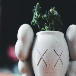 a small ceramic planter insert shaped like a skull with a succulent plant