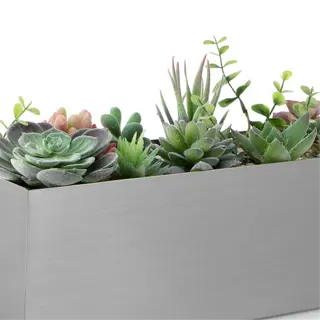a stainless steel planter with various succulents