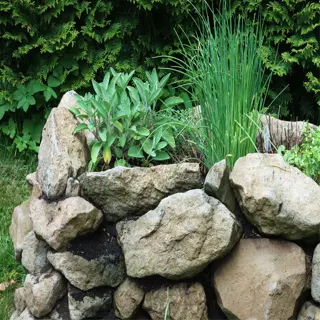 a stone raised garden bed with various plants growing