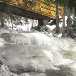 a stream with water partially frozen, demonstrating the freezing process in a natural setting
