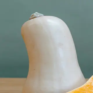 a whole butternut squash and a halved one, displaying its bright orange interior