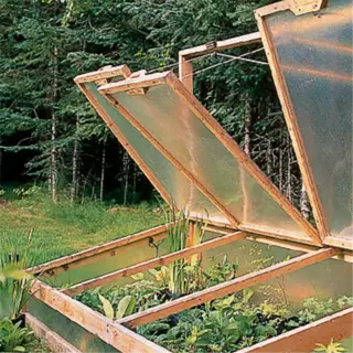 a wooden cold frame with open polycarbonate panels, sheltering a variety of potted plants in a forested setting