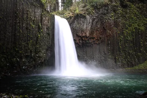 abiqua falls cascading over columnar basalt rocks into a serene pool, surrounded by lush green forest