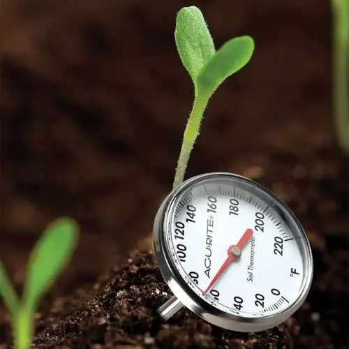 acurite seed germination soil thermometer in fertile soil alongside a young seedling, with visible temperature scale and branding