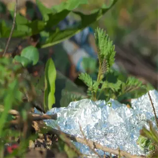 aluminum foil used as reflective mulch in a garden