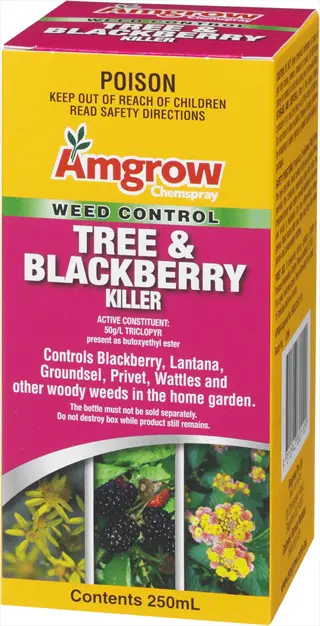 amgrow chemspray tree & blackberry killer product box: commercial herbicide for blackberry weed control with safety warnings (poison, child hazard) and botanical imagery