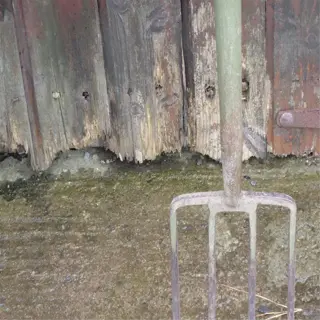 an old, rusty digging fork with four tines, leaning against a wooden wall
