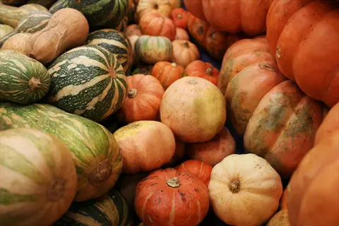assortment of orange and green pumpkins with varied shapes and uniform color distribution in a harvest pile