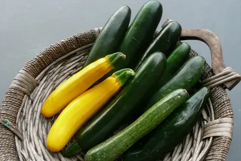 assortment of zucchinis including costata romanesco variety in a wicker basket: light green ribbed, yellow, and dark green squashes
