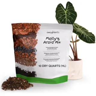 bag of 'molly's aroid mix' by veryplants showcasing soil layers including visible vermiculite soil amendment, sample of mix, and anthurium plant in ceramic pot