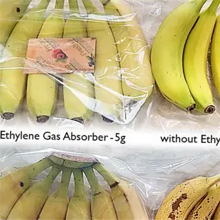 bananas with and without ethylene absorbers showing freshness comparison