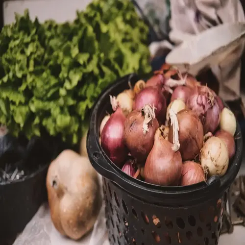 basket overflowing with fresh onion harvest including red, white, and shallot varieties with garden lettuce and squash in background