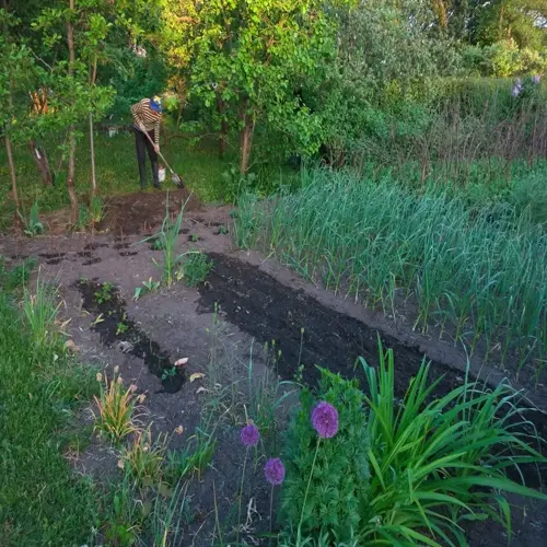 bean garden planting scene with a person tending rows of crops amidst flowers and trees
