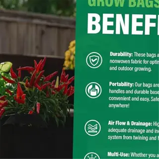 benefits of fabric grow bags for planting