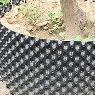 black plastic root pruning pot surrounding a tree trunk