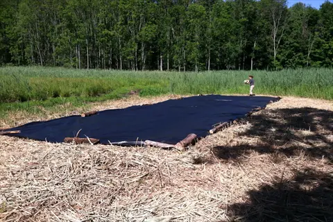 black tarp garden using solarization method in rural field - large plastic cover bordered by logs with person observing, surrounded by straw and forest