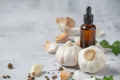 brown glass dropper bottle with garlic oil mixture surrounded by whole garlic bulbs, cloves, and green leaves on a light surface